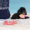 Pavilion Gift Company - Beach Dog - 10.75" x 8" Canvas Dog Toy on Rope - Pet Toy - 2 of 4