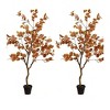 1Pack Autumn Eucalyptus Artificial Tree  3ft Fake Eucalyptus Plants Fall Eucalyptus Tree Autumn Ficus Fall Tree Artificial Silk Plants For Patio Porc - 4 of 4