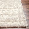 Hauteloom Gidja Beige Plush Area Rug - 2 of 4