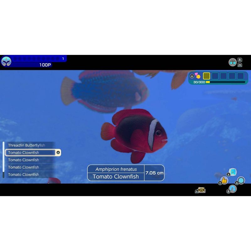 Endless Ocean Luminous - Nintendo Switch (Digital), 4 of 7