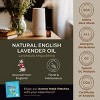 Gya Labs English Lavender Essential Oil 0.34 Fl Oz 100% Pure Natural Floral Herbaceous - 3 of 4