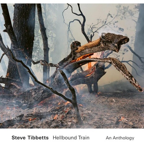Steve Tibbetts - Hellbound Train: An Anthology (2 CD) - image 1 of 1