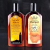 Agadir Argan Oil Daily Moisturizing Shampoo - (12 oz) & Moisturizing Conditioner - (12 oz) duo set - Shine Brighter. Dry Faster - 2 of 4