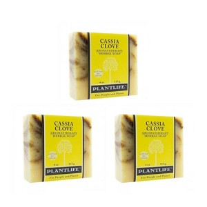 Plantlife Cassia Clove Bar Soap – Moisturizing, Soothing, Handcrafted, Plant-Based – Made in California, 4oz - 1 of 4