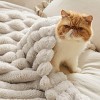 Bedsure White Throw Fleece Blanket for Couch, Super Soft Cute Small Throws for Girls, 50x60 inches, Wider Striped Design - 4 of 4