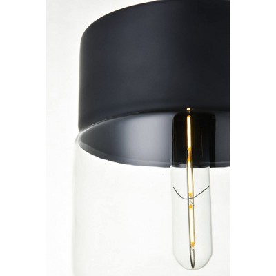 Black Matte Pendant Light with Clear Glass Shade
