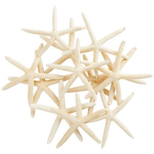Juvale 12 Pack White Finger Starfish for Nautical Décor, Vase Filler, Craft Supplies (4 to 6 in) - 1 of 4