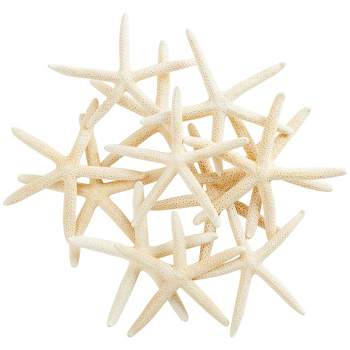 Juvale 12 Pack White Finger Starfish for Nautical Décor, Vase Filler, Craft Supplies (4 to 6 in)