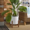 Jesper Concrete Ficonstone Planter - Indoor/Outdoor - PAT1514 - Safavieh - 2 of 4