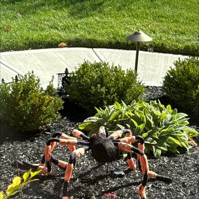 Guest review image 2 of 2, zoom in