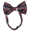 Men's Paisley Design 2.75 W And 4.75 L Inch Pre-Tied adjustable Bow Tie - 2 of 3