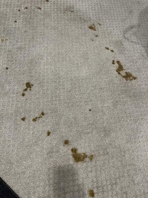 Guest review image 2 of 4, zoom in