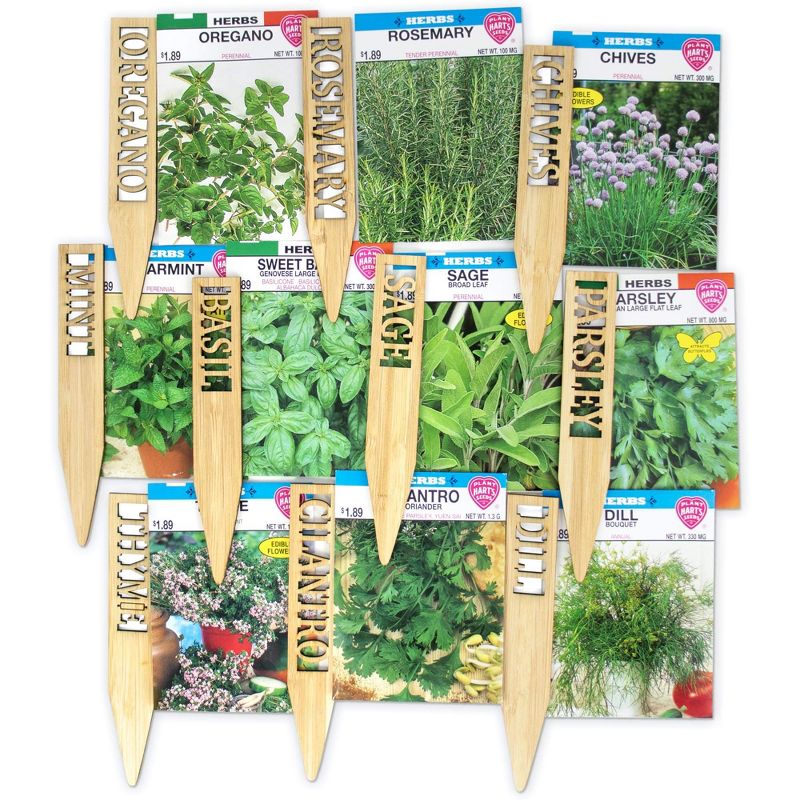 Window Garden Herb Seeds - 10 Popular Varieties For Indoor Or Outdoor Planting, 1 of 4
