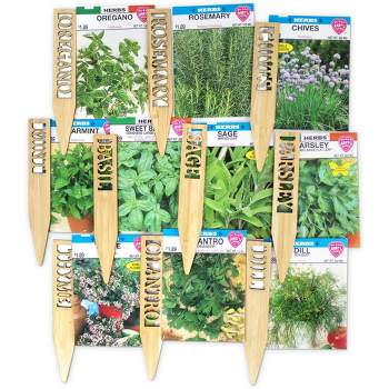 Window Garden Herb Seeds - 10 Popular Varieties For Indoor Or Outdoor Planting