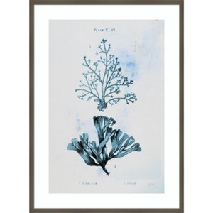 Amanti Art Blue Bay VIII by Deborah Revell Wood Framed Wall Art Print - 1 of 4