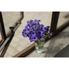 Sony FE 50mm f/1.8 Lens - 4 of 4