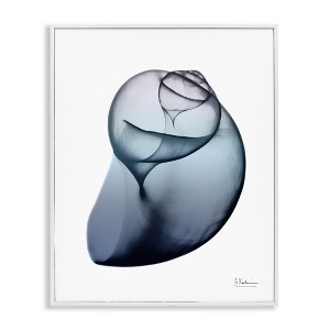 Stupell Industries Contemporary Snail Shell, 11" x 14" - 1 of 4