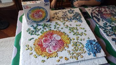 Circle of Color: Poke Bowl, Adult Puzzles