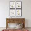 Plum & Post 21.5"W x 1.25"D x 27.5"H Parrot Study In White Framed Wall Art Set of 4 - 3 of 3