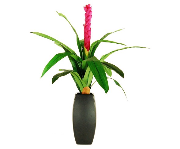 Artificial Torch Ginger Arrangement Pink 30" - LCG Florals
