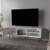 63" Melamine Multistorage TV Stand with Door, Open Storage, Conical Legs, and Scratch-Resistant Surface for Living Room and Bedroom - 4 of 4