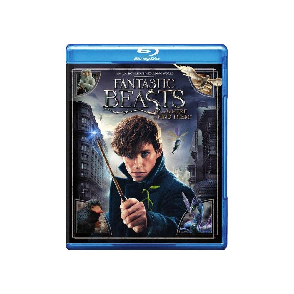 UPC 883929540990 product image for Fantastic Beasts and Where to Find Them (Blu-ray) | upcitemdb.com