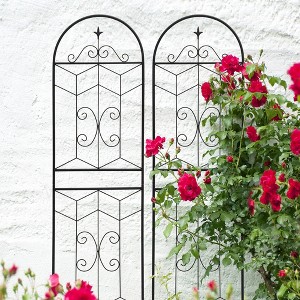 Hrinhom 2-Panel Metal Garden Trellis,Arched Plant Support,Decorative Fence - 1 of 4