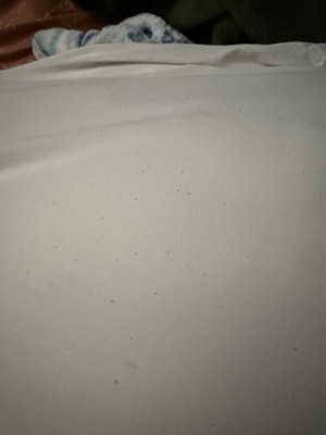 Guest review image 2 of 2, zoom in