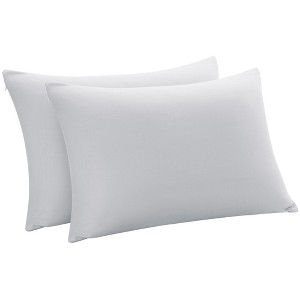 PiccoCasa Zipper Closure Breathable Luxury Viscose From Bamboo Pillowcases 2 Pcs - 1 of 4