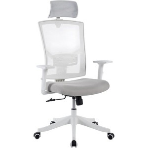 TackView Ergonomic Office Chair with Adjustable Lumbar & Headrest, High Back Swivel Computer Chair with Armrests, Desk Chair for Home Office - 1 of 4