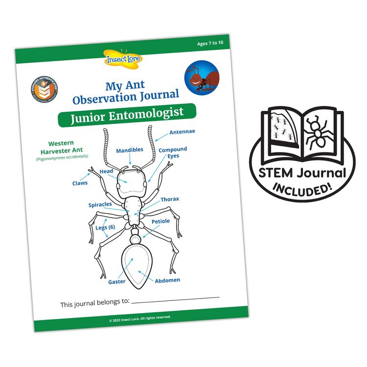 Insect Lore Ant Hill™ Ant Habitat, 4 of 6