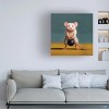 Trademark Fine Art - Lucia Heffernan Gym Rat Kettleball Front Squat Canvas Art - 2 of 4