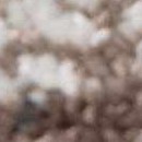 charcoal, dark brown, camel, ivory, slate blue