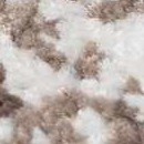 charcoal, dark brown, camel, ivory, slate blue