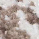 charcoal, dark brown, camel, ivory, blue