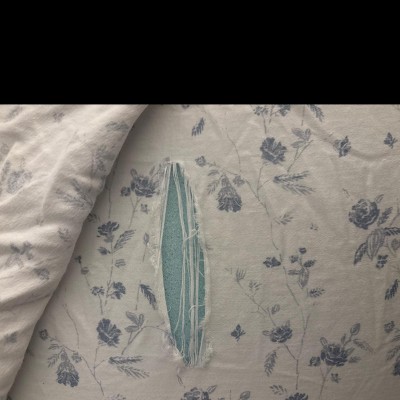 Guest review image 1 of 1, zoom in