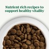 Nutro Natural Choice Lamb, Vegetable and Rice Flavor Large Breed Adult Dry Dog Food - 3 of 4