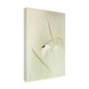Trademark Fine Art - Daan de Vos Playing with light Canvas Art - 4 of 4