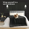Weighted Blanket, Soft and Cozy, Temperature Regulating, Machine Washable, Dark Grey 60x80 Inch 15lbs. - 2 of 4