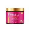 Mielle Organics Pomegranate & Honey Coil Sculpting Custard - 12oz - 2 of 4