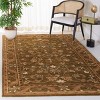 Antiquity AT52 Hand Tufted Indoor Rug -Safavieh - 2 of 4