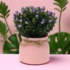 Unique Bargains Artificial Plants Baby's Breath in Pot Plastic 3.94"x3.94"x7.09" 1 Pc - 2 of 4