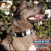 Country Brook Petz Deluxe Dog Collar - Chevron and Arrows Collection - Made in The U.S.A. - 2 of 4