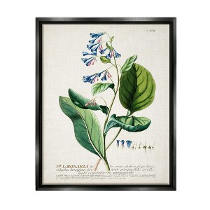 Stupell Industries Botanical Plant Illustration Blue Flowers Vintage Design - 1 of 4