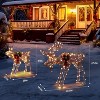 VINGLI Lighted Reindeer Christmas Decoration 2-Piece Deer Family Set for Outdoor Decor, Pre-lit 200 LED Christmas Deers-Brown - 3 of 4