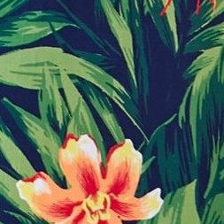 tropical floral