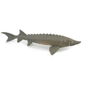 Collectible Wildlife Gifts | Sturgeon, Hand Painted, Educational, Rubber Fish, Realistic Figure,  Model,   Gift,      3 1/4"    SF15 B31 - 1 of 4