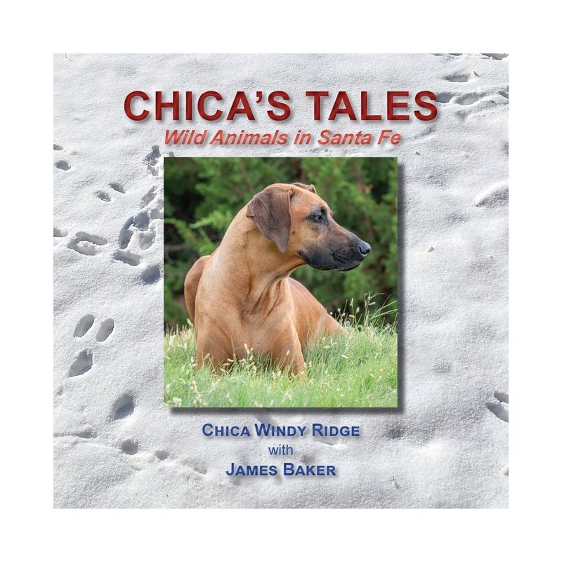 Chica's Tales, Wild Animals in Santa Fe - by  James Baker (Paperback), 1 of 2
