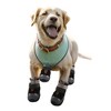 Unique Bargains Breathable Mesh Dog Shoes Dog Boots Paw Protectors 4 Pcs - 2 of 4