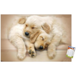 Trends International Keith Kimberlin - Puppies - Golden Retrievers Cuddling Unframed Wall Poster Prints - 1 of 4